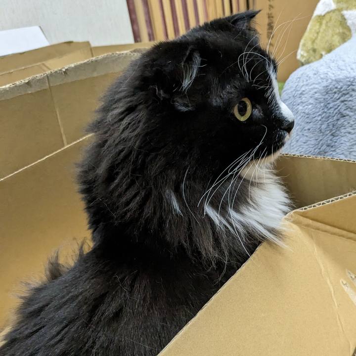 08c7f701 8258 4bc3 98cf d4840ec15652 1684153306982