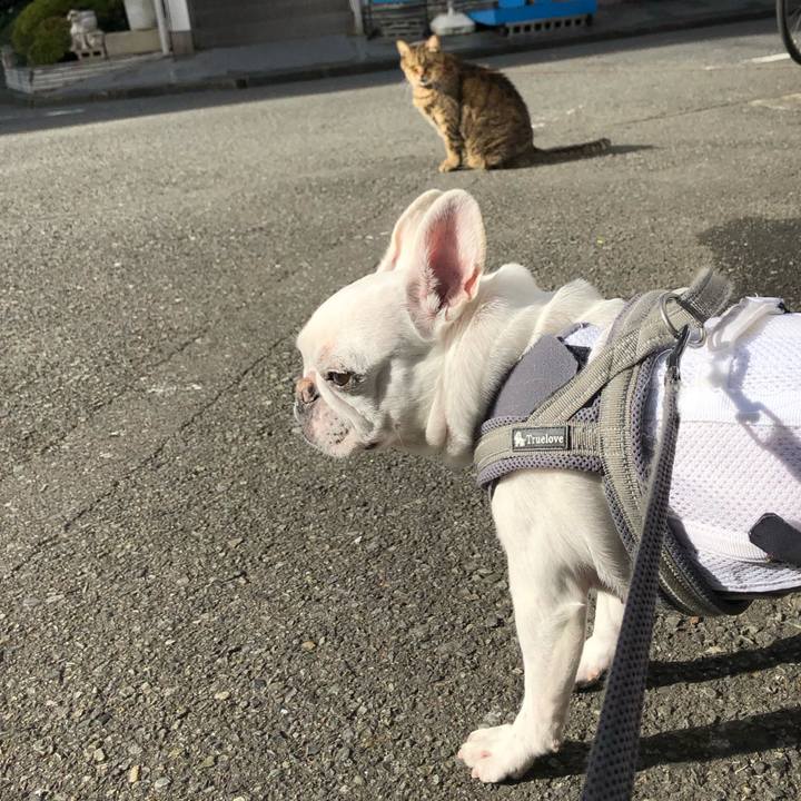 08c80b2e 283f 497f 9dd4 c5a75d5b78e7 1670120130264