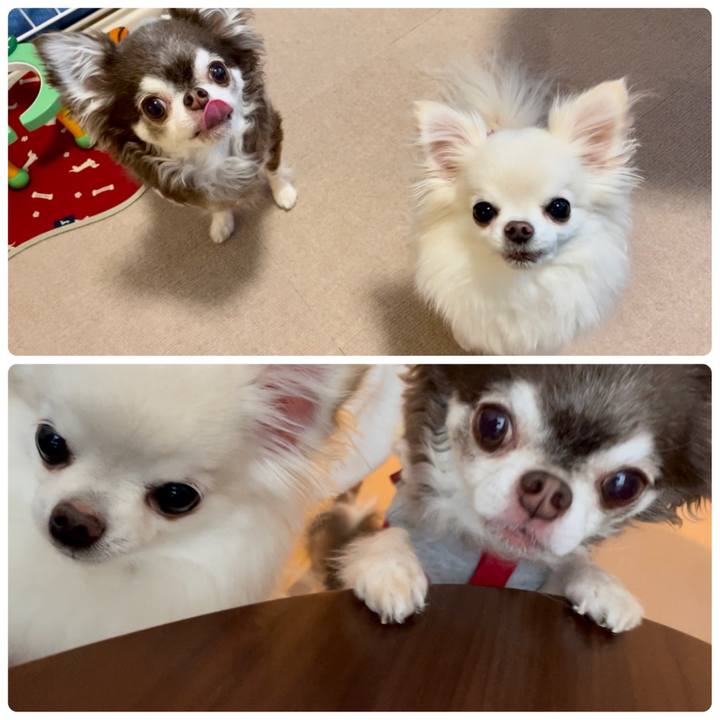 08c832e5 91bb 4e11 b062 7c6b81ddba3d 1650619215962