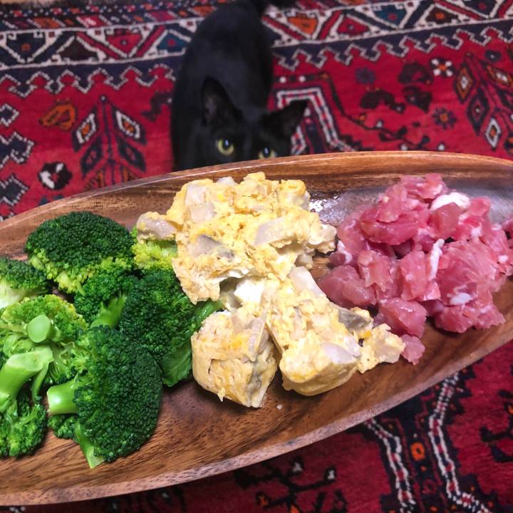 08c83815 5f62 43ca 9b01 22029c43385c 1582114271243