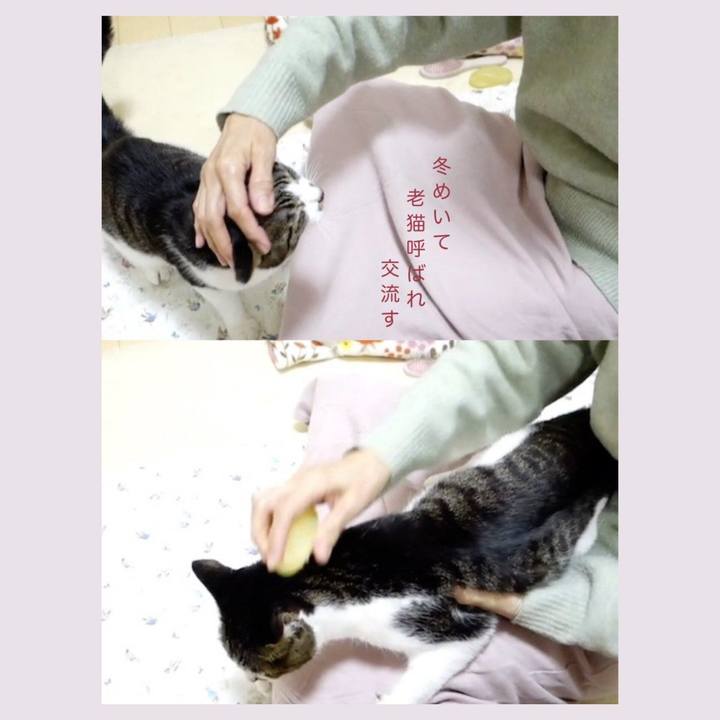 08c8555c 6c53 4002 9bac 966d1056049a 1764675952116