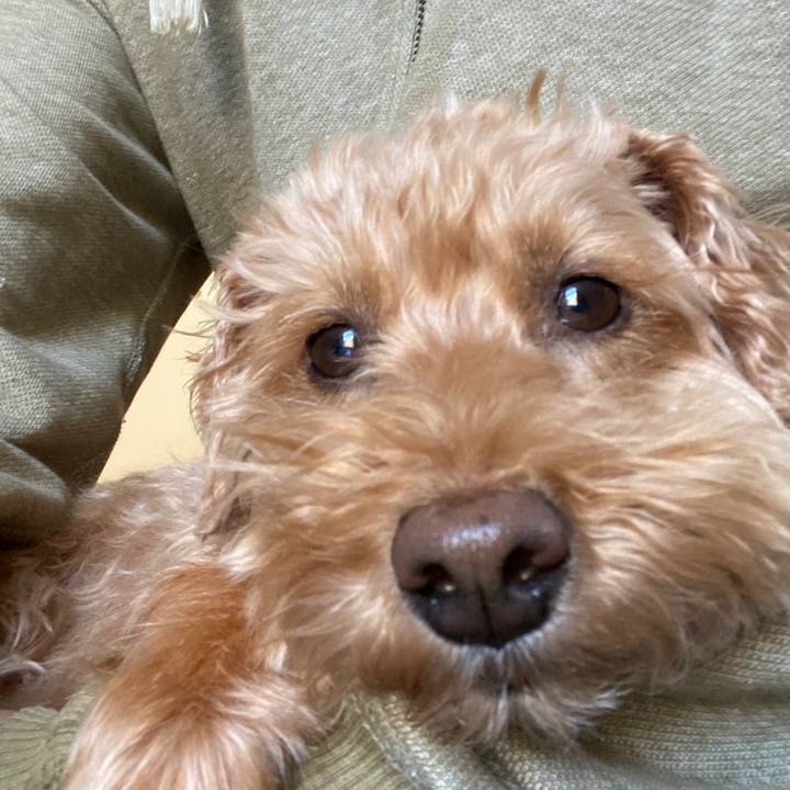 08c85f0a 699b 46a4 b42f 311570d0e528 1617232471303