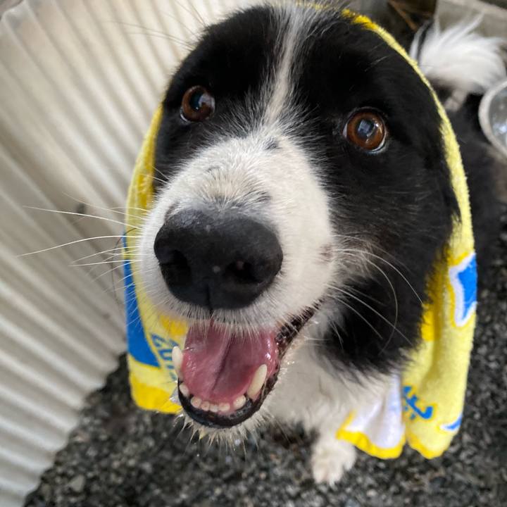 08c8a6ef a1f3 45b7 bda2 bb949f468c92 1603326081289