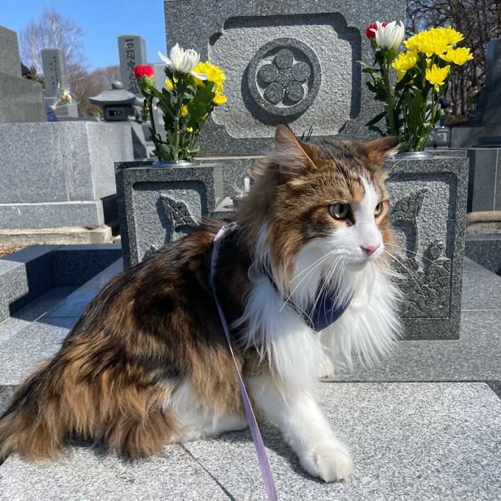 08c8a89e 34ed 48fc 86b6 680946061bbe 1679200087860