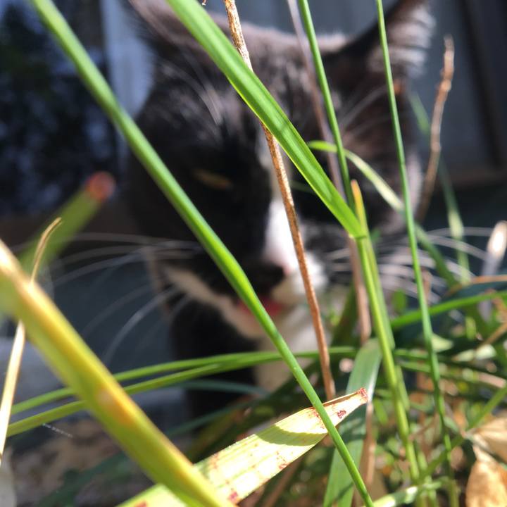 08c8cef0 67c1 474e a476 0a6973d3af78 1522326712643