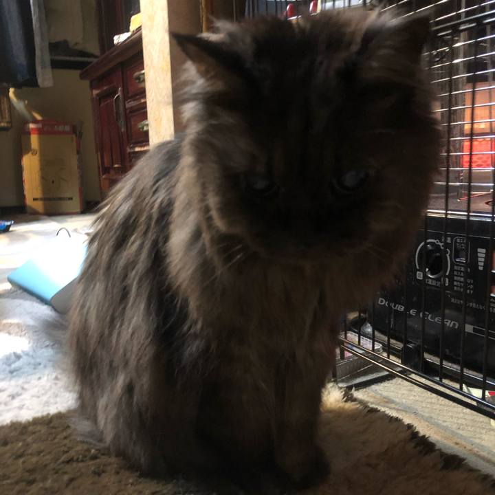 08c8d18c 4384 4710 8d38 39d24ba0053f 1548110231346