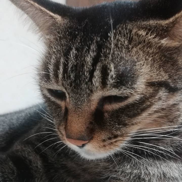 08c8f4a6 cfc9 4363 8043 4422ee9d0714 1599387414804