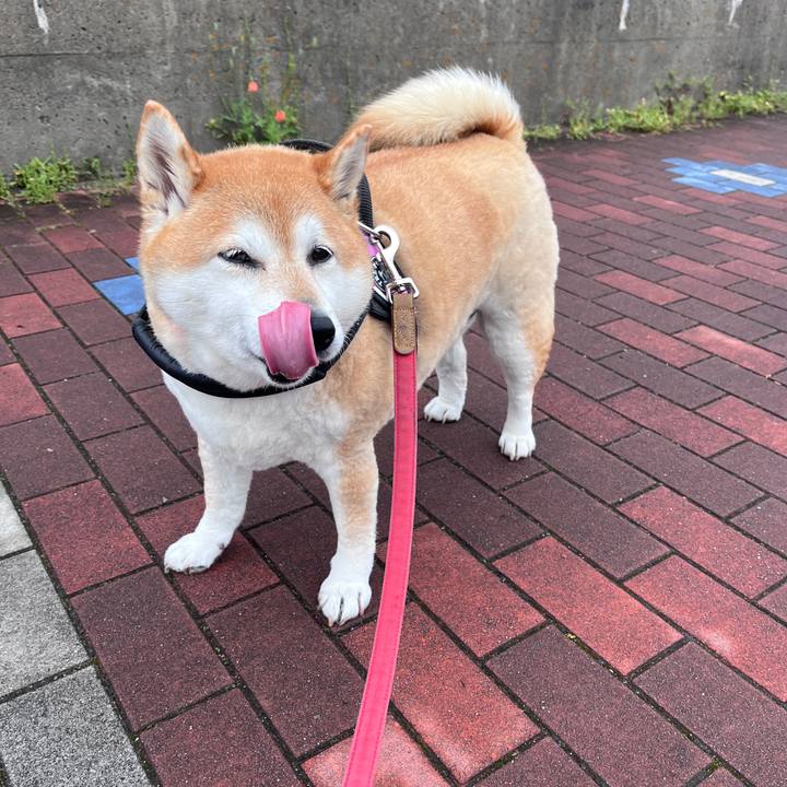 08c8f5c5 2b13 4e42 aae4 640bca4fd1eb 1713755169971