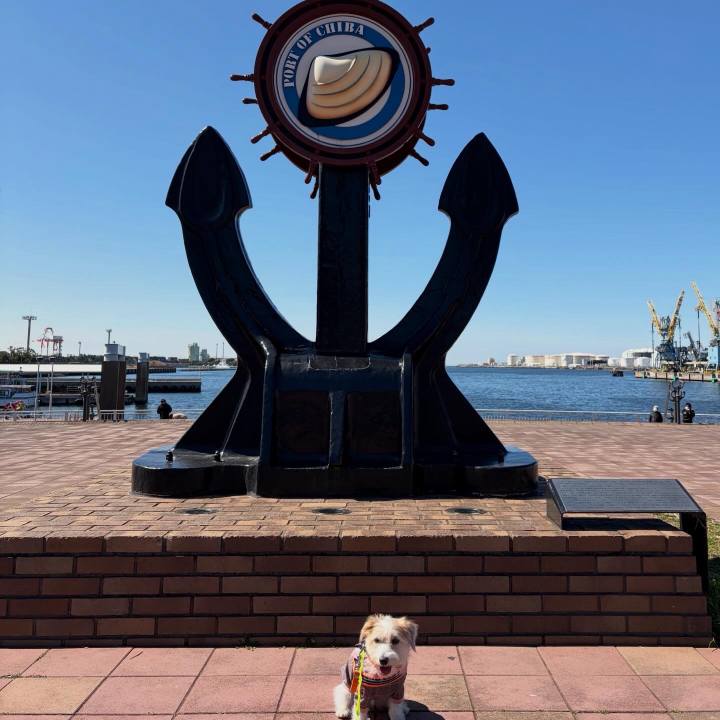 08c934a4 cb5d 468f be7a 06b9a07c981e 1773552586087