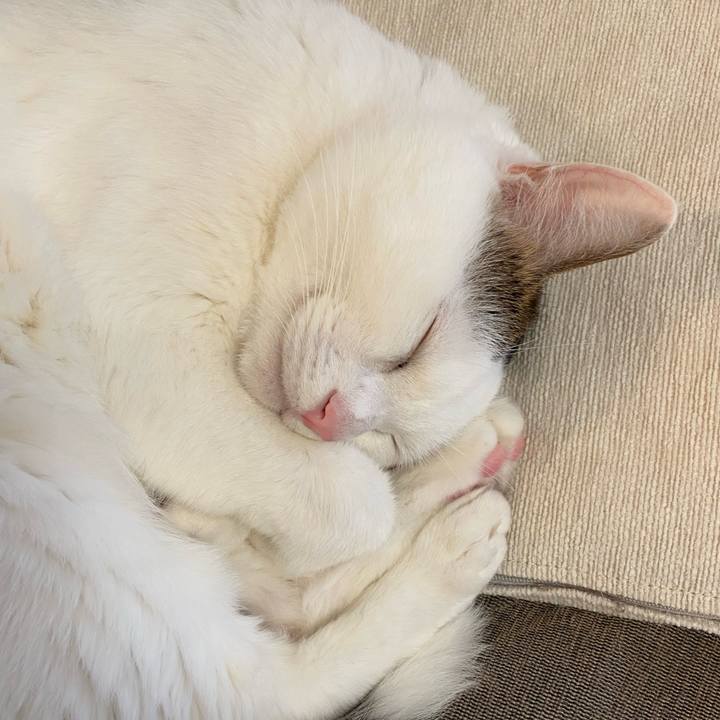 08c97b79 20a1 40e8 8615 7f4bbd61abb1 1665882487642