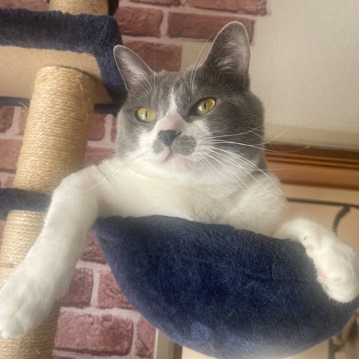 08c9a1f5 4865 4ceb 93f9 736328176fb6 1670544959326