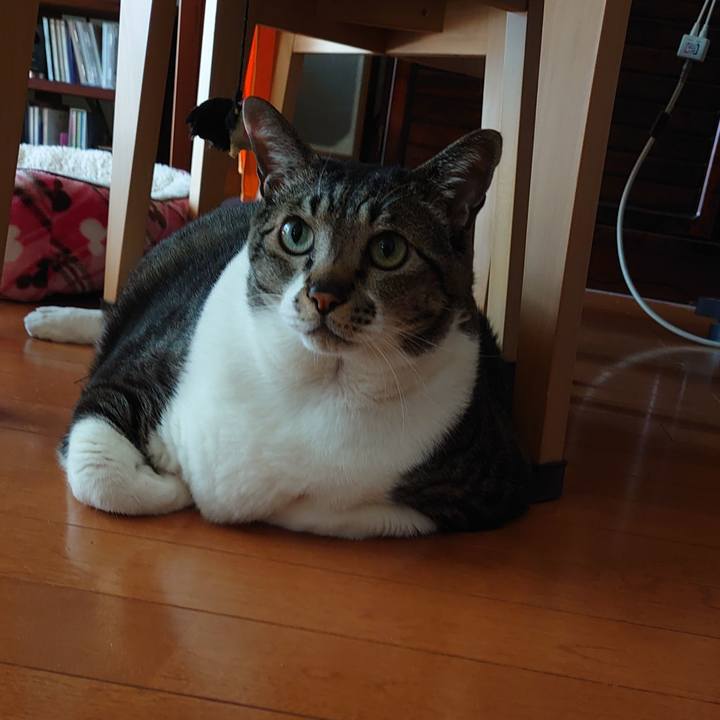 08c9b199 5bdc 41ff 83d8 7745ca4a2abe 1629852682492