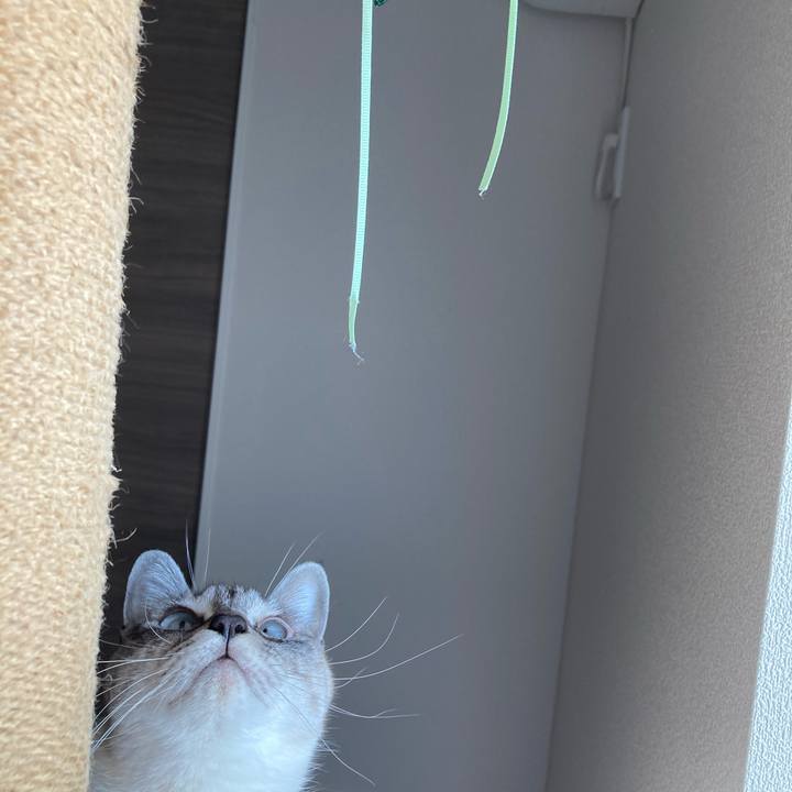 08c9d558 0faa 4184 95e8 74bd6ef3db3e 1610062164270