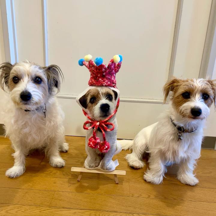 08c9e1ee 268a 4e87 b8d6 a8112db37eec 1762261237093