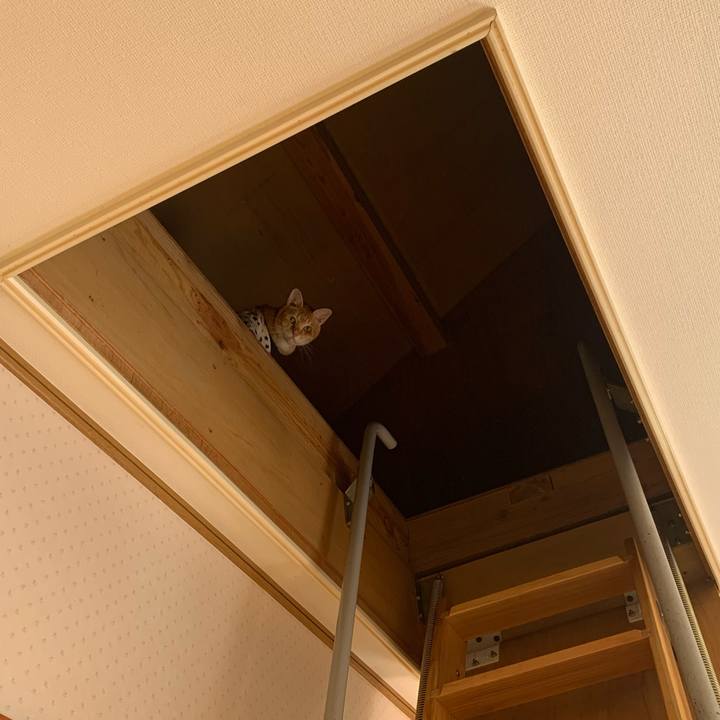 08c9f637 c52f 4462 ad8d e11317d92fa7 1632117095102