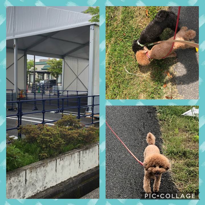 08ca0a6f cc09 4af5 a61a 31875fc54a17 1588577201049