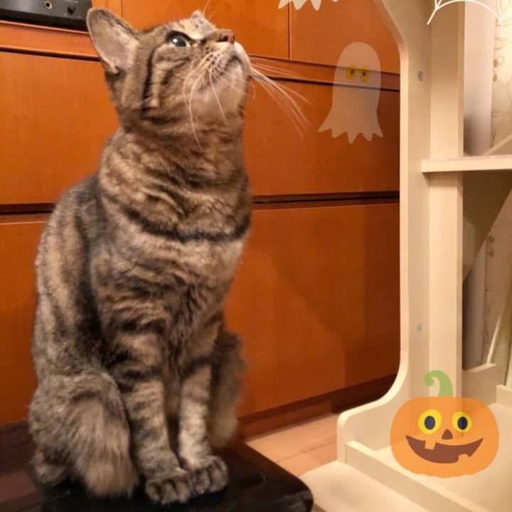 08ca5c9c 8dbd 45da a502 32858027bb1c 1761568458620