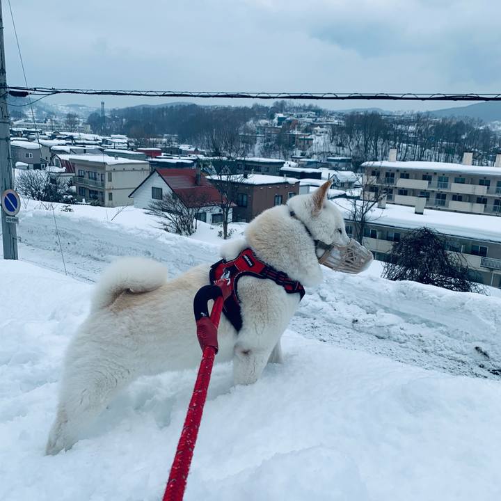 08ca66c4 9fa3 40d7 b8d4 9d1c1a467bac 1676766947289