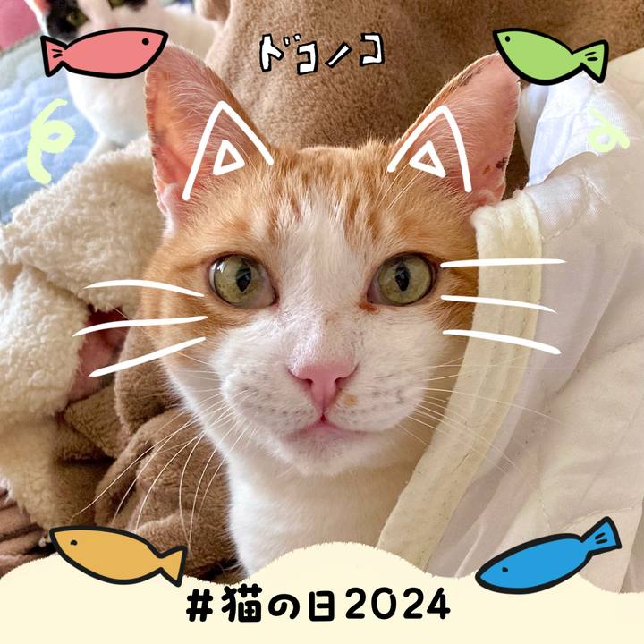 08ca7ada 3430 4093 9429 97e90efa50bc 1708572389210