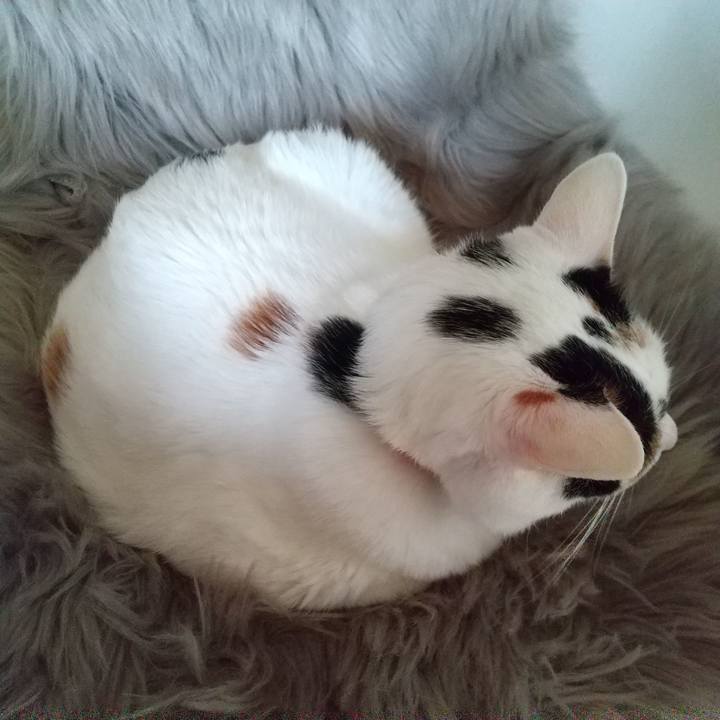 08ca9178 5f93 4ae8 bc7c c4a313720a7b 1614066497337