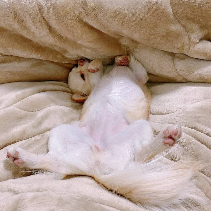 08cae83a 6787 4ccf b0cd a0b6d0223761 1611739803609