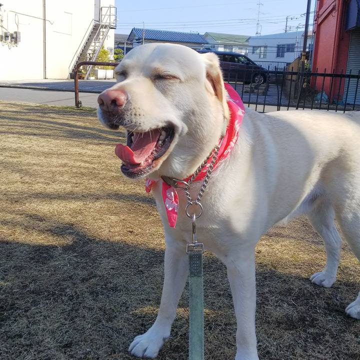 08cb1aa9 81b4 41bc b308 32e8a23f28a5 1550725787304