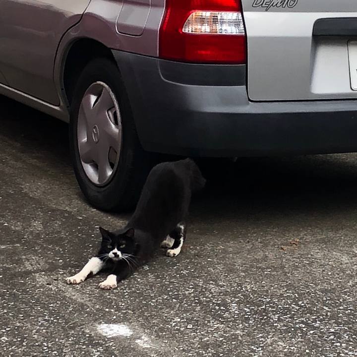 08cb1be3 3817 4fe0 b480 34ddc4e295a7 1528977987353