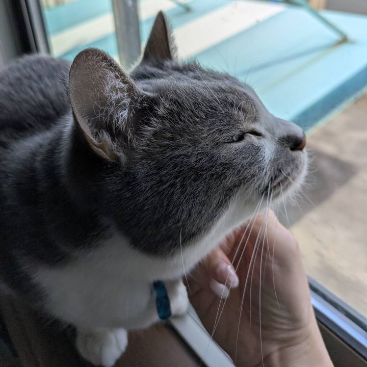 08cb1cea 04b3 462e 9f41 f7ccc75f18d6 1774684467300