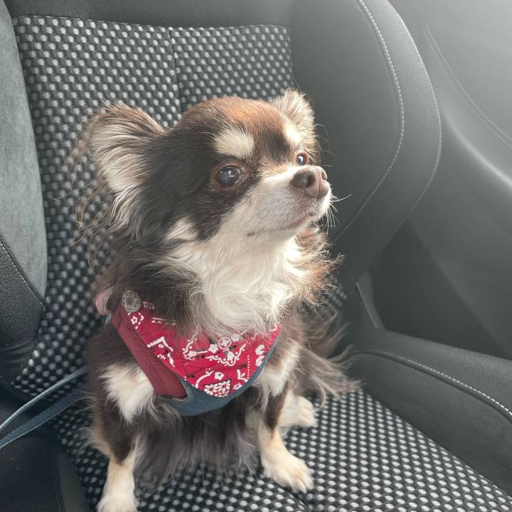 08cb60a0 1350 4087 b687 f2274b030386 1646707583314