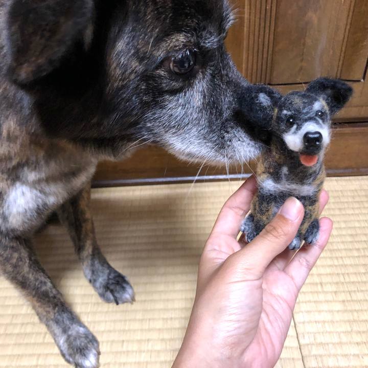 08cb668a 0013 4302 9abc c4488099a5de 1630397203042