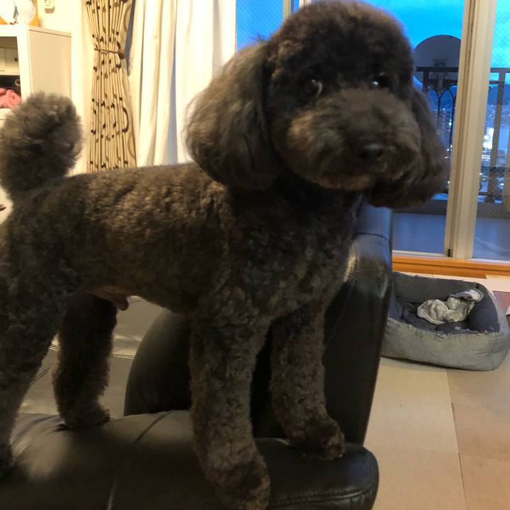 08cb8311 f5d6 4cab 944e 00c346788086 1599817288453