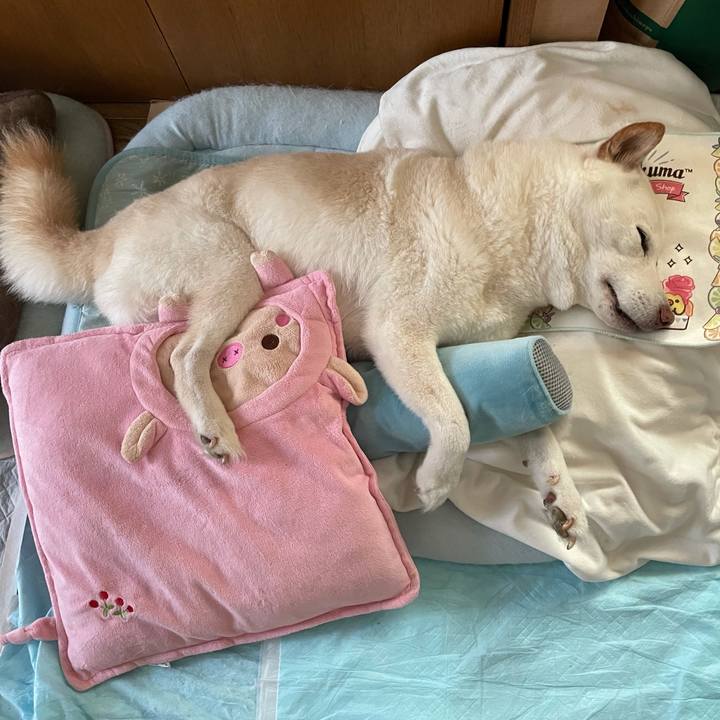 08cb9181 d332 4a0a af0b 15c95a4d7c1a 1634006314546