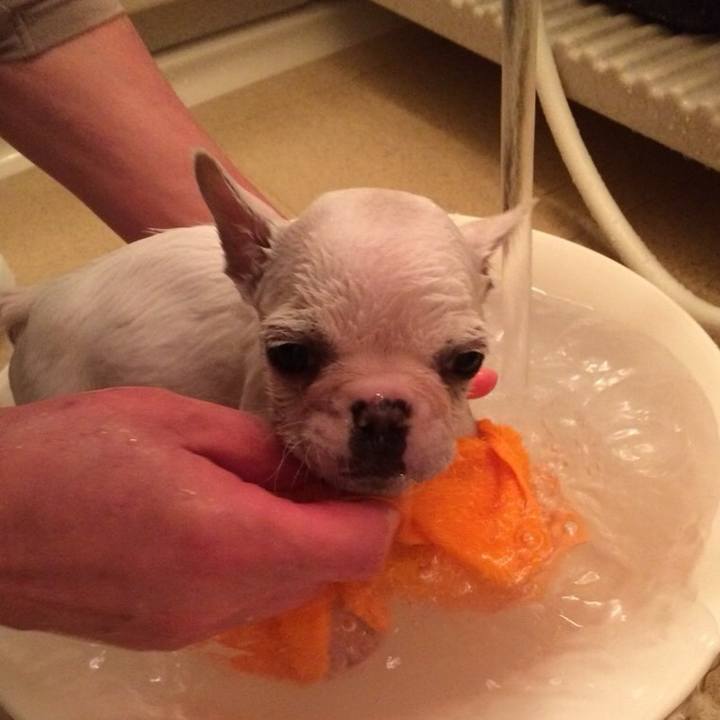 08cba493 2041 4d05 8092 c3111d32e72a 1737552149630