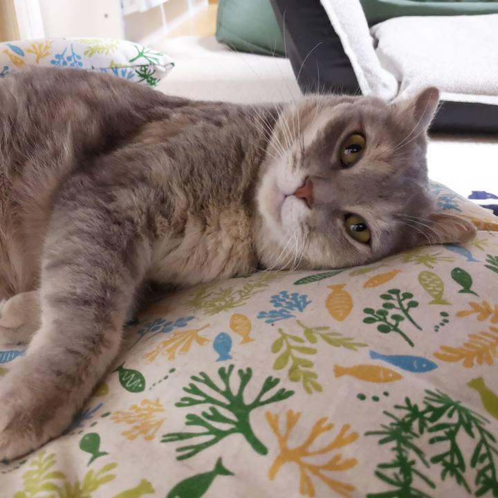 08cbc4a8 2011 4f33 a55e cfa0cd968342 1566053889650