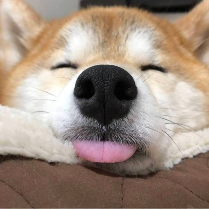 08cbde38 5f3a 42db 9a3c 2515d2a833bf 1626306763289