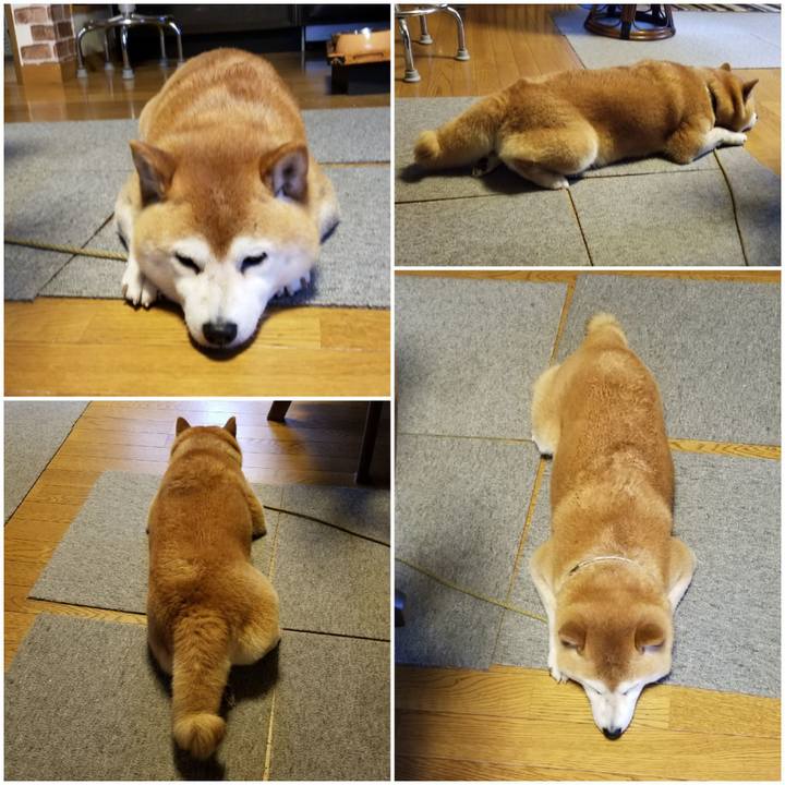 08cbef96 4a0b 40f5 a0e0 c8845d1fc5b8 1621674490596