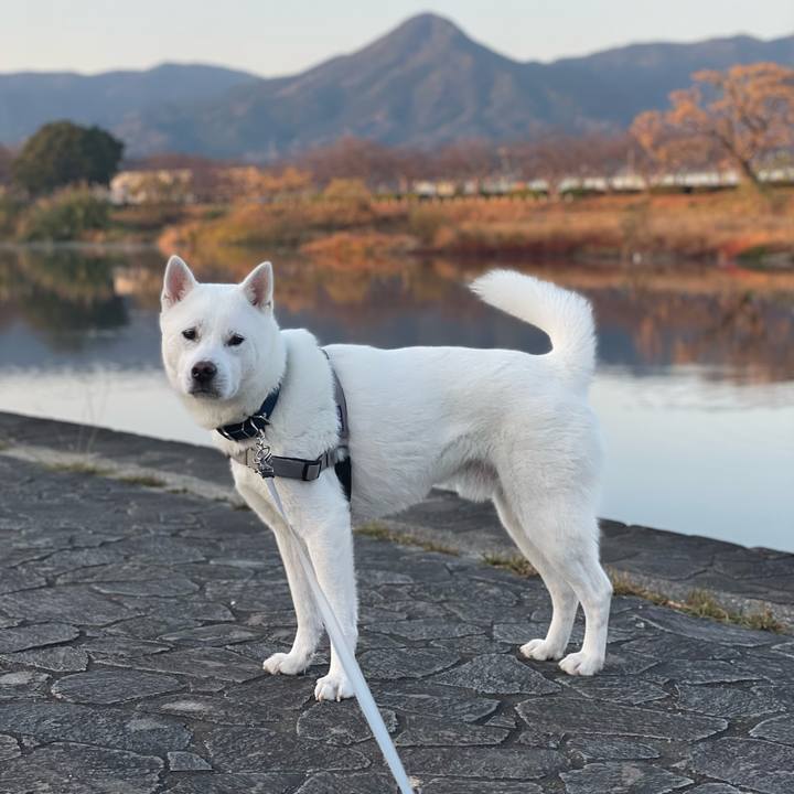 08cbeff8 6c5d 43e1 b00b 63dc23c98f15 1639521878369