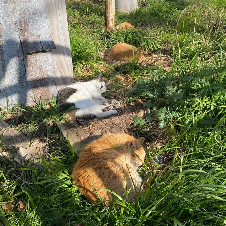 08cc0ae5 3676 4c9e b396 c490579244f6 1768701222830