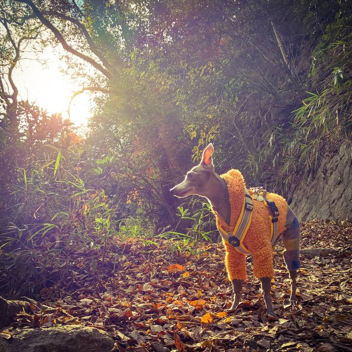 08cc6169 840c 4d98 8dd2 4b9c4966a170 1765881758991