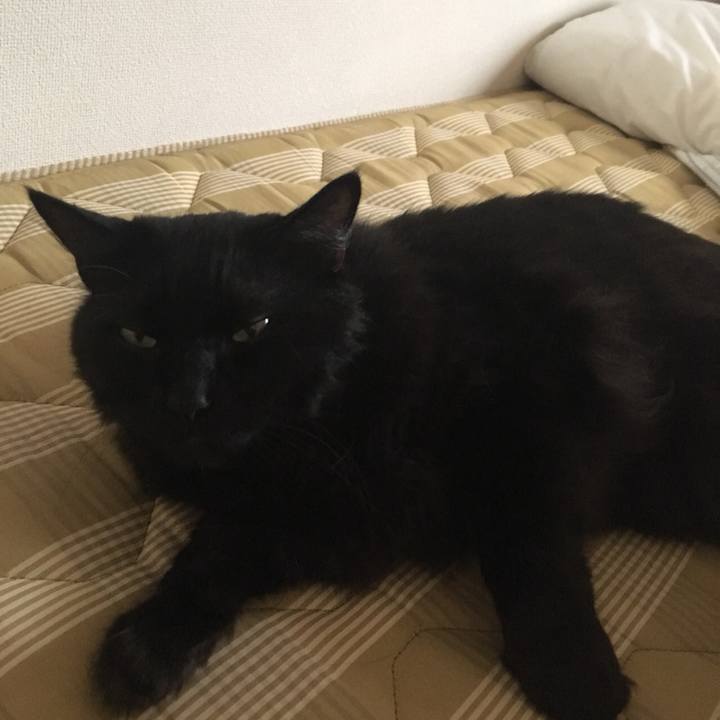 08cca6d1 6f64 445c a0f9 063d6be68bd2 1533469439295