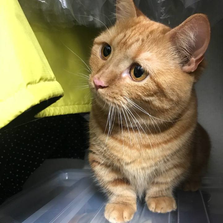 08ccbf9b 4212 42e9 97ef f2653162d946 1527731174874