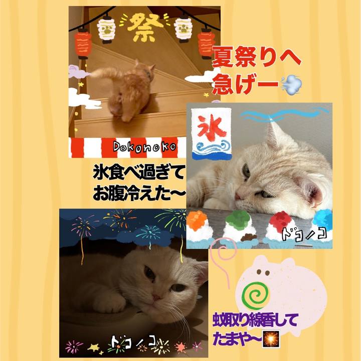 08ccc18f 86db 4b52 a1bb 831d84d2da0a 1723735549888