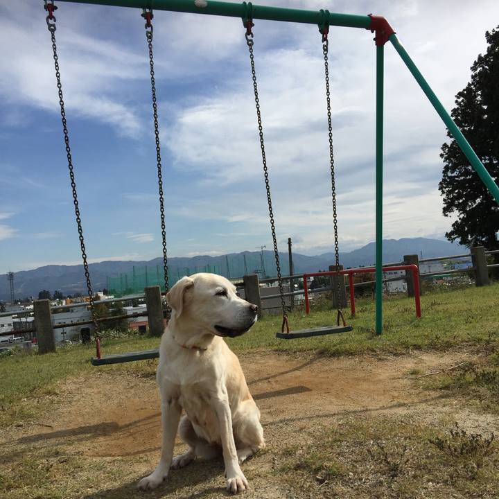 08ccd59b abb9 434a 9865 dae170ba4a62 1540267650708