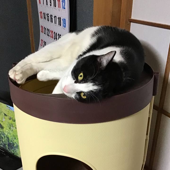 08cceea6 fd61 4ed9 ab4d 60811d76ccd5 1643877934895