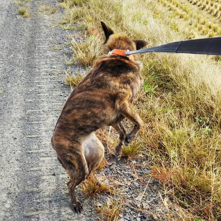 08cceec6 ecbf 44d5 bcdd 931b2a6586f0 1539518034712