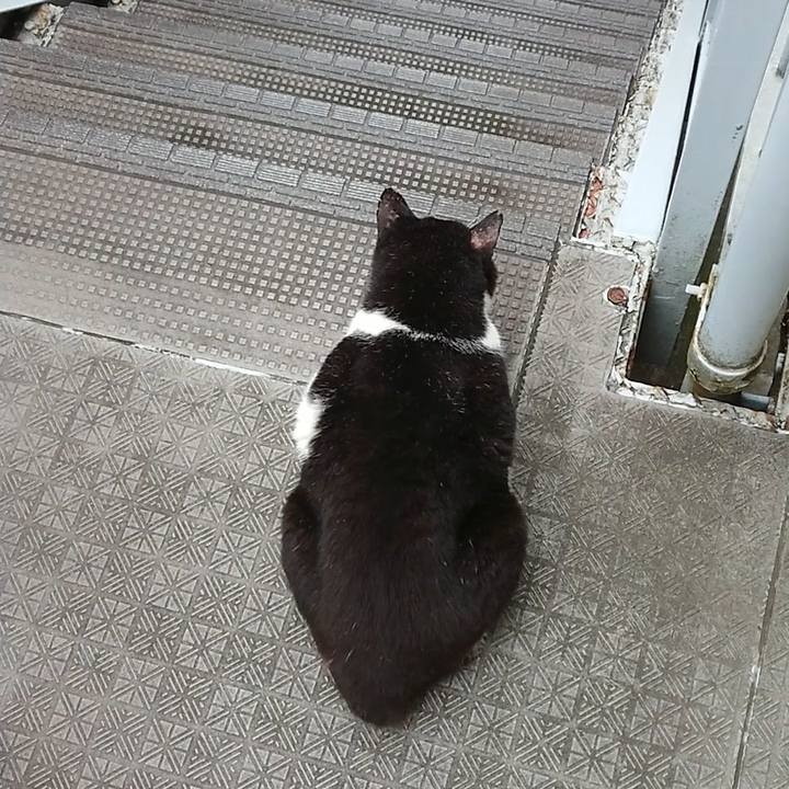 08cd0438 2aa6 4fd1 8ef5 f04b443a9738 1659736684651