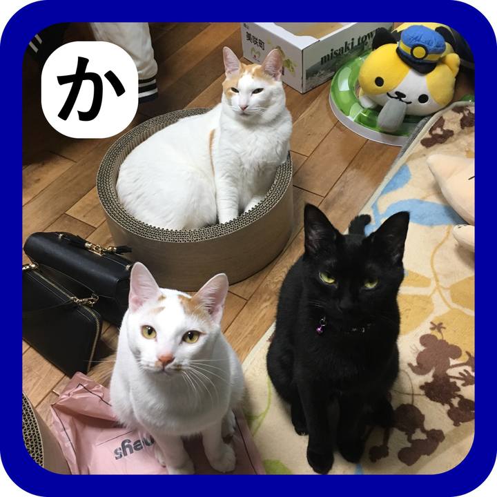 08cd2594 fa35 4730 9e70 82b6d699ecc0 1514842855220