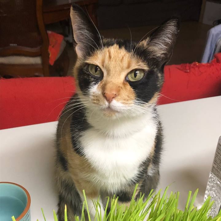 08cd3954 0039 42f1 93b9 0664183f4564 1557051341570