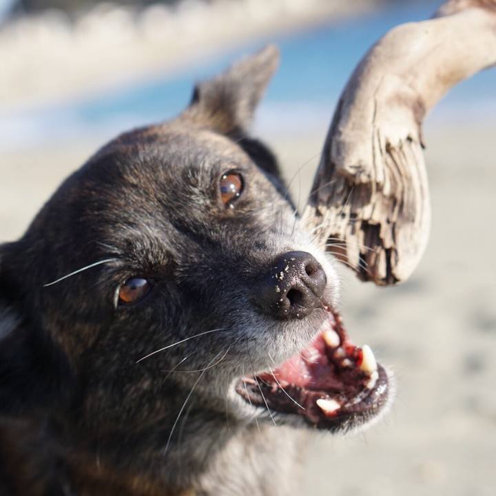 08cd3b0c 4cb5 4b62 be01 05ca6013b3b1 1586215940850