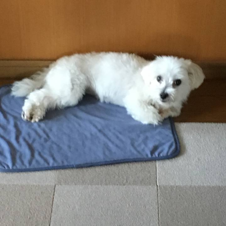 08cd84ca d076 4832 bdc8 4727287002f9 1568123297217